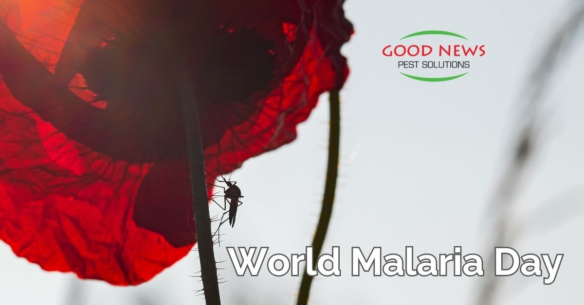 Today is World Malaria Day